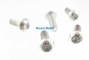 Viti Torx Testa Bombata 10.9 zincate